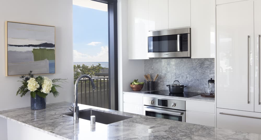 The kitchen and countertop in 2B-E.