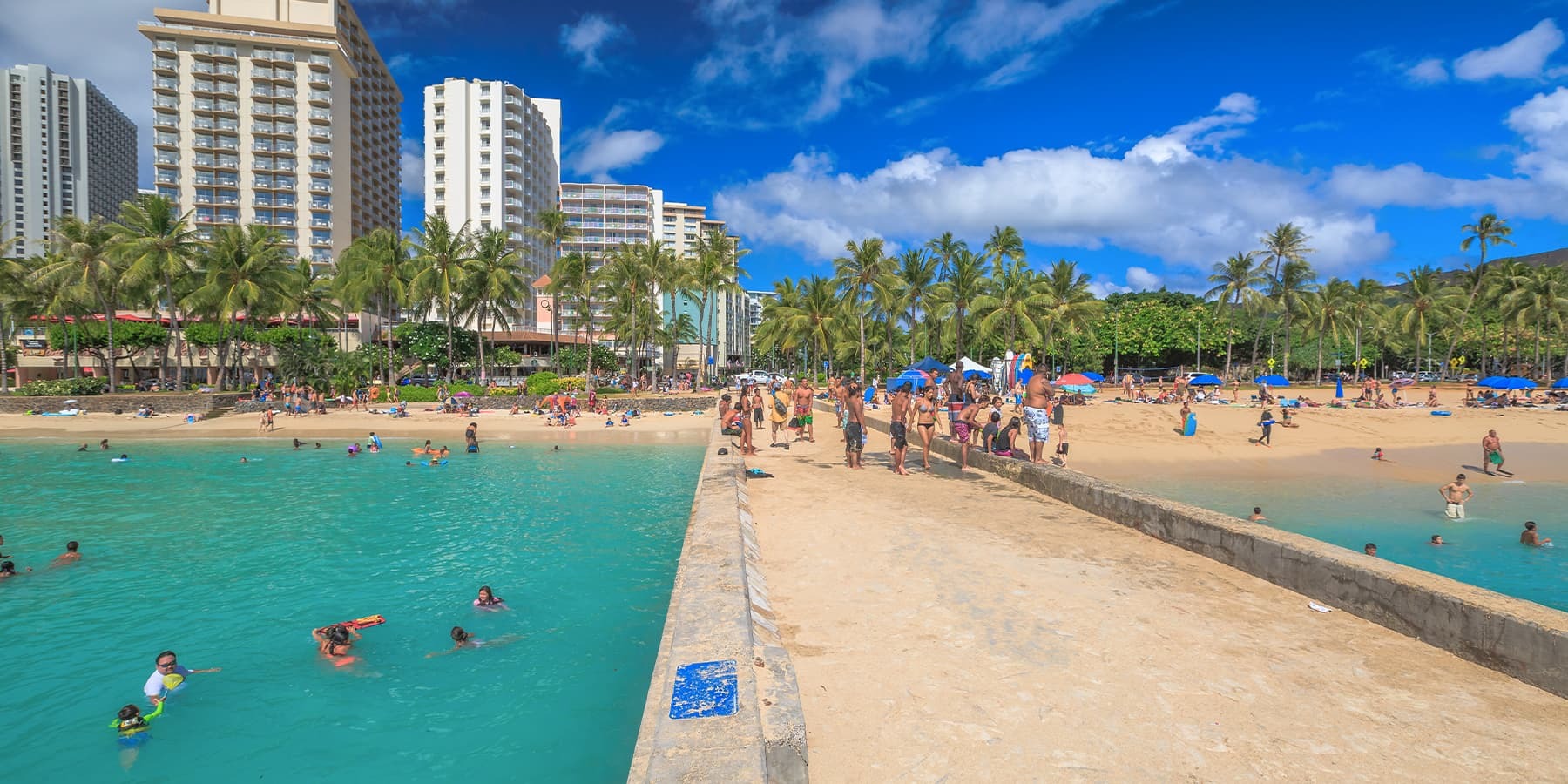 Waikiki Condos for Sale 731 Listings