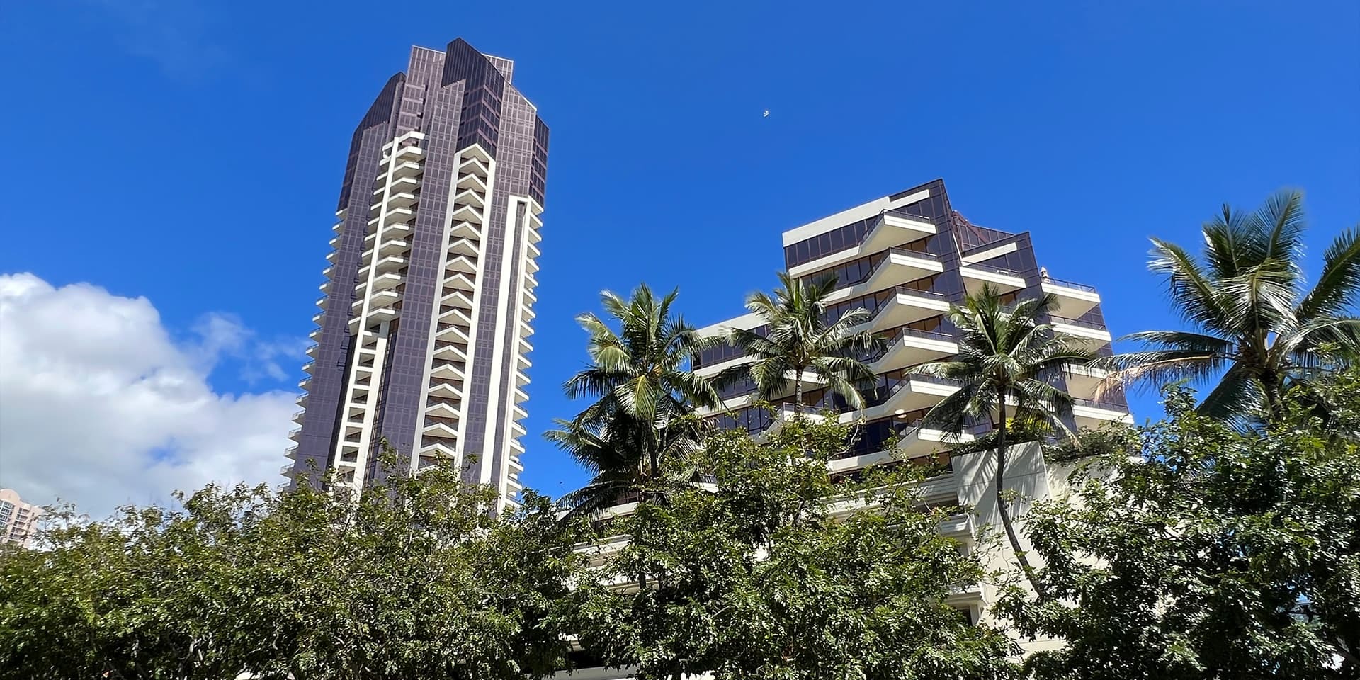 Looking up from Cooke St.