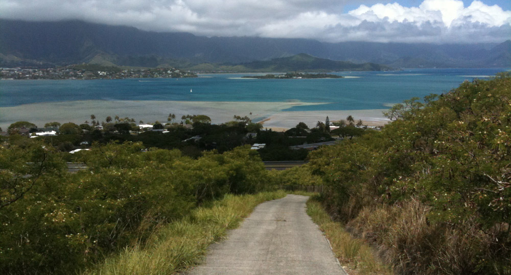 Estimated Population: 33,739