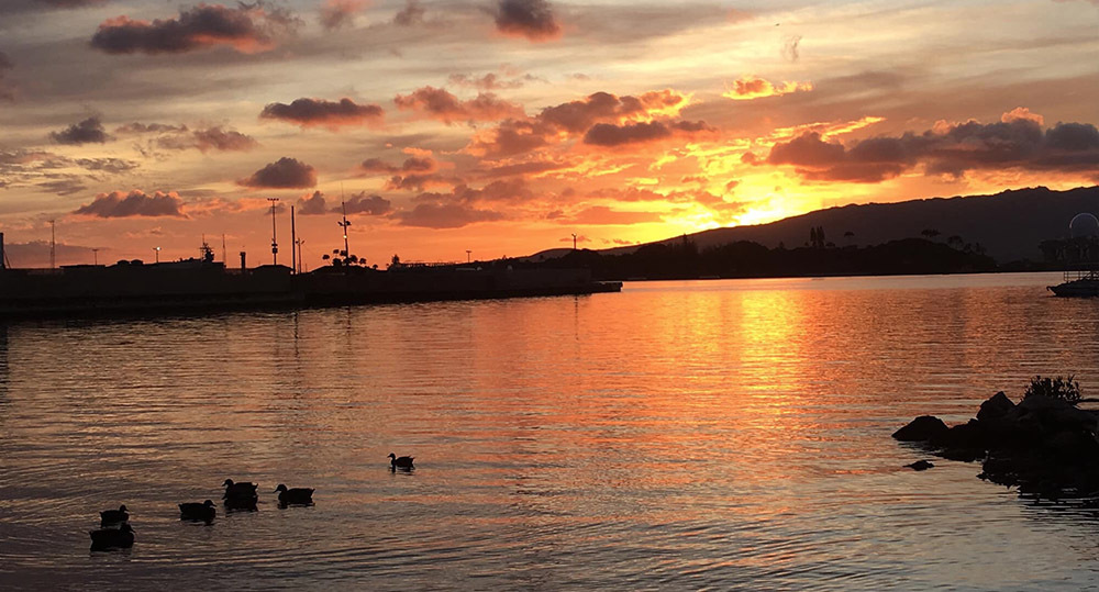 Estimated Population: 46,129