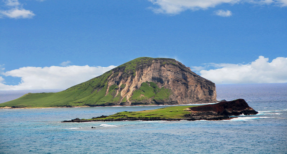 Photo Credit: Forest & Kim Starr, under Creative Commons Attribution 3.0 Unported license