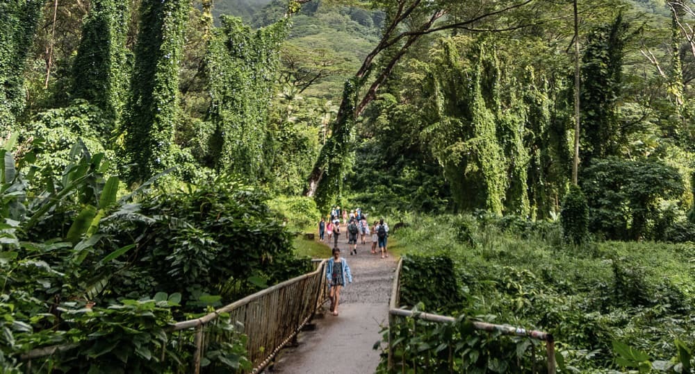 Real Estate and Homes for Sale in Manoa 39 Listings