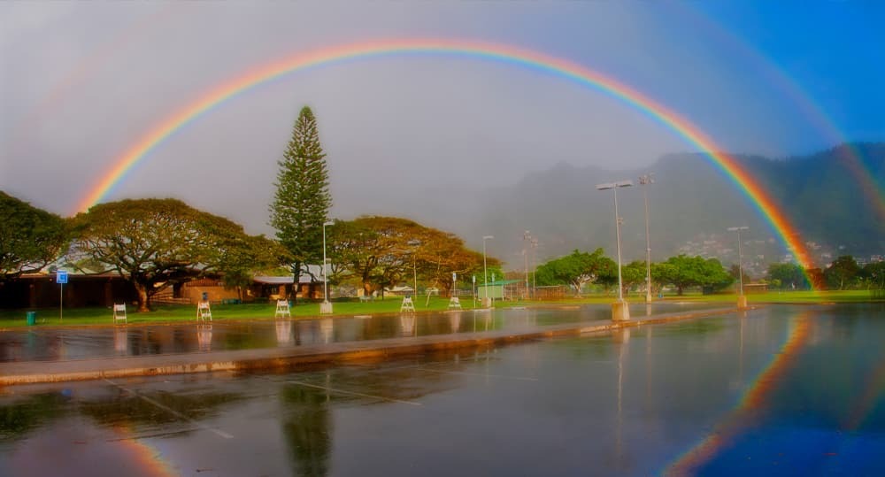 Real Estate and Homes for Sale in Manoa 39 Listings