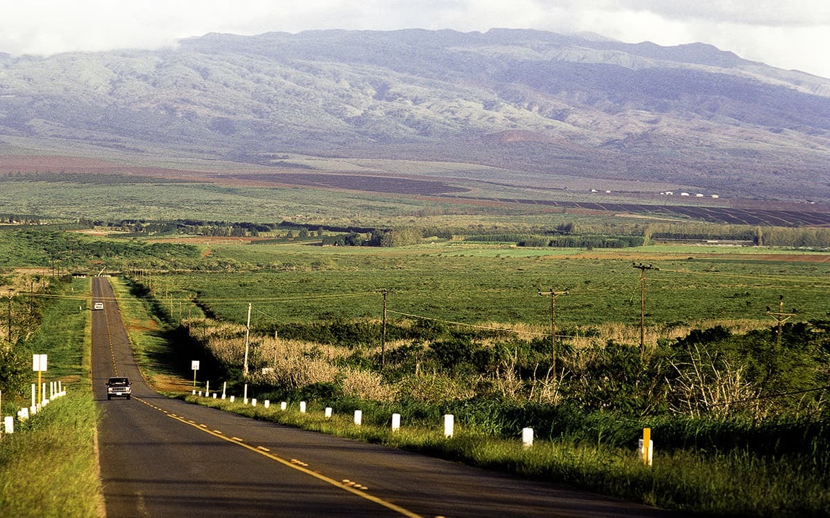A single road on Molokai.