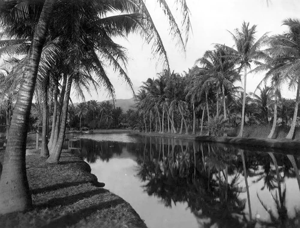 Photo Credit: Images of Old Hawaiʻi, Peter T. Young.